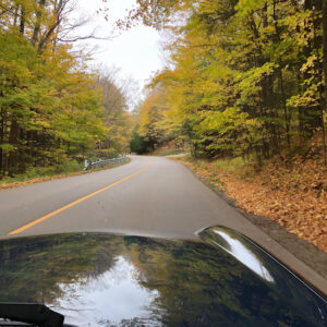 Fall Colours Drive – 22 October 2021